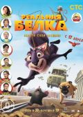 Реальная белка