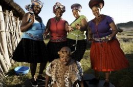 Гид по выживанию в Южной Африке от Шукса Тшабалалы