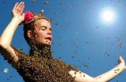 Королева солнца: Что нам говорят пчёлы?