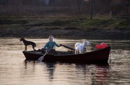 Путешествие с домашними животными