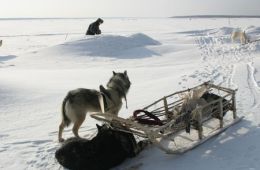 Счастливые люди: Год в тайге