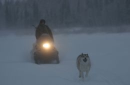 Счастливые люди: Год в тайге