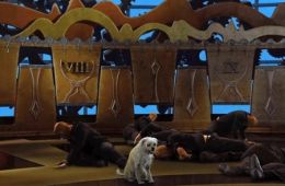 Дети шпионов в 4D