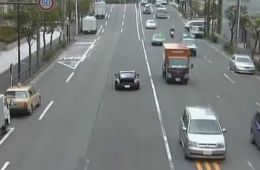 Ванганская полночь
