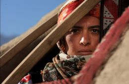 Взрослея вместе с ветром