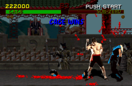 Скриншот из игры «Mortal Kombat»