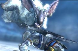 Скриншот из игры «Monster Hunter 4»