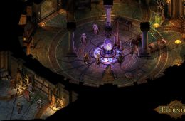 Скриншот из игры «Pillars of Eternity»