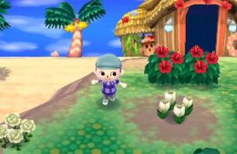 Скриншот из игры «Animal Crossing: New Leaf»