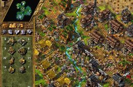 Скриншот из игры «The Settlers IV»