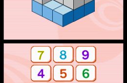 Скриншот из игры «Big Brain Academy»