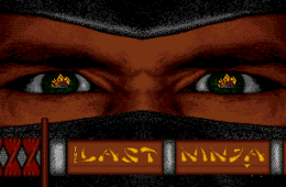 Скриншот из игры «The Last Ninja»