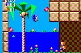 Скриншот из игры «Sonic the Hedgehog Chaos»