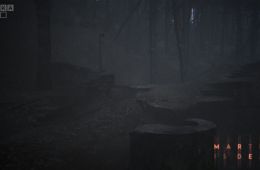 Скриншот из игры «Martha Is Dead»