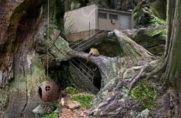 Скриншот из игры «Samorost»