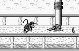 Скриншот из игры «Donkey Kong Land 2»