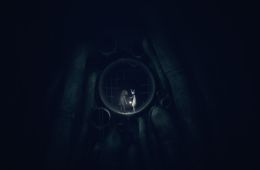 Скриншот из игры «Reanimal»