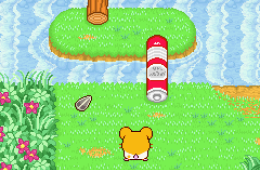 Скриншот из игры «Hamtaro: Ham-Ham Heartbreak»