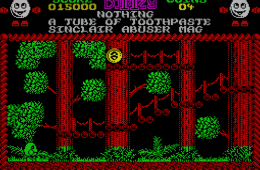 Скриншот из игры «Treasure Island Dizzy»