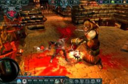 Скриншот из игры «Dungeons»