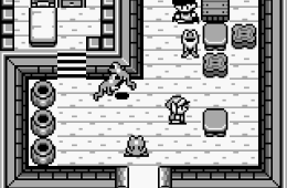 Скриншот из игры «The Legend of Zelda: Link's Awakening»