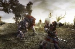 Скриншот из игры «The Witcher»