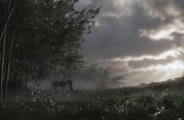 Скриншот из игры «Ghost of Tsushima»