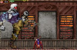 Скриншот из игры «Castlevania: Order of Ecclesia»