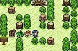 Скриншот из игры «Dragon Warrior Monsters»