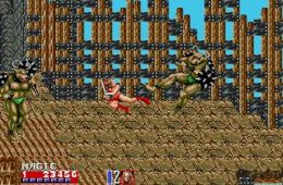 Скриншот из игры «Golden Axe II»