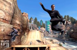 Скриншот из игры «Skate 3»