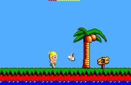Скриншот из игры «Wonder Boy»