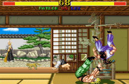 Скриншот из игры «Fighter's History»