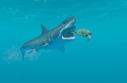 Скриншот из игры «Stranded Deep»