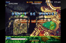 Скриншот из игры «Blazing Star»