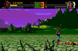 Скриншот из игры «Shaq-Fu»