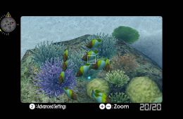Скриншот из игры «Endless Ocean»