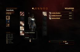Скриншот из игры «Dragon Age II»