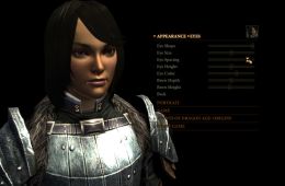 Скриншот из игры «Dragon Age II»