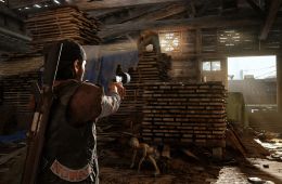 Скриншот из игры «Days Gone»