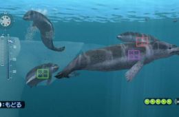 Скриншот из игры «Endless Ocean: Blue World»