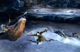 Скриншот из игры «Monster Hunter 4»