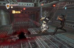 Скриншот из игры «Ninja Gaiden»