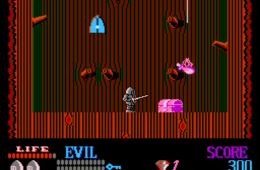 Скриншот из игры «Wizards & Warriors»