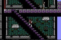 Скриншот из игры «Castlevania II: Simon's Quest»