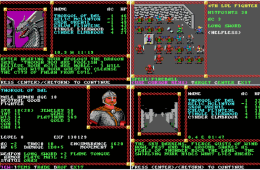 Скриншот из игры «Advanced Dungeons & Dragons: Pool of Radiance»