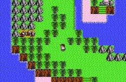 Скриншот из игры «StarTropics»