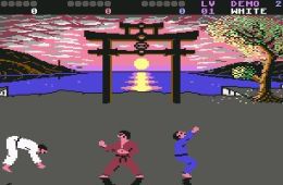 Скриншот из игры «International Karate +»
