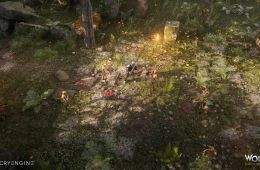 Скриншот из игры «Wolcen: Lords of Mayhem»
