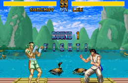 Скриншот из игры «Fighter's History»